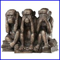 Software: Microsoft Office